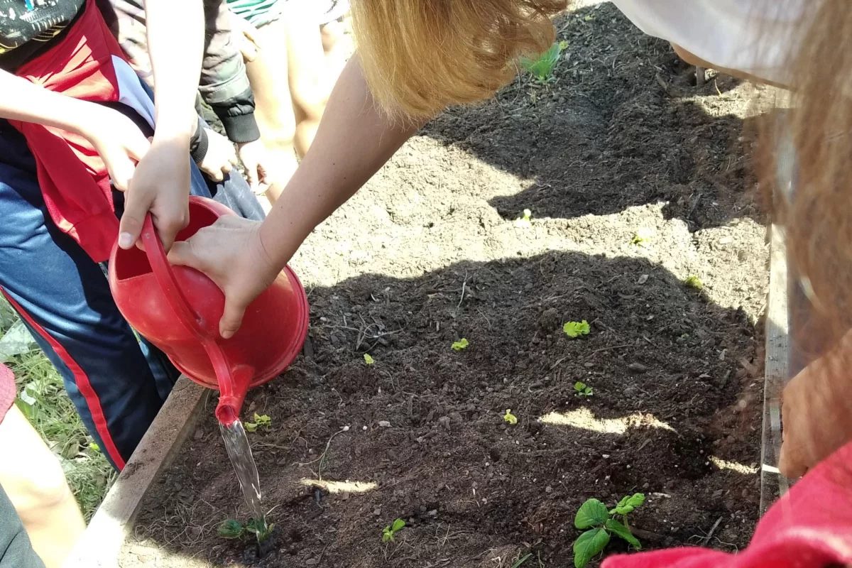 Imagem da fonte — Oficinas de sensibilização de jardinagem