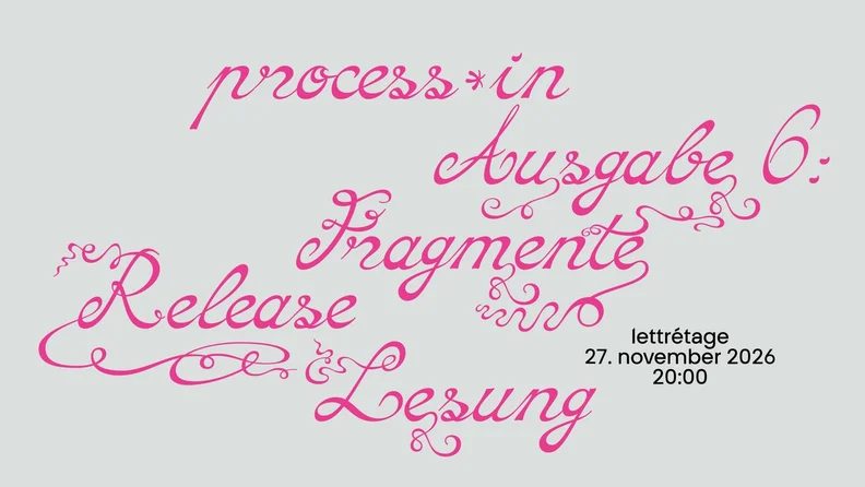 Image de la source — release process*in issue 6: fragments