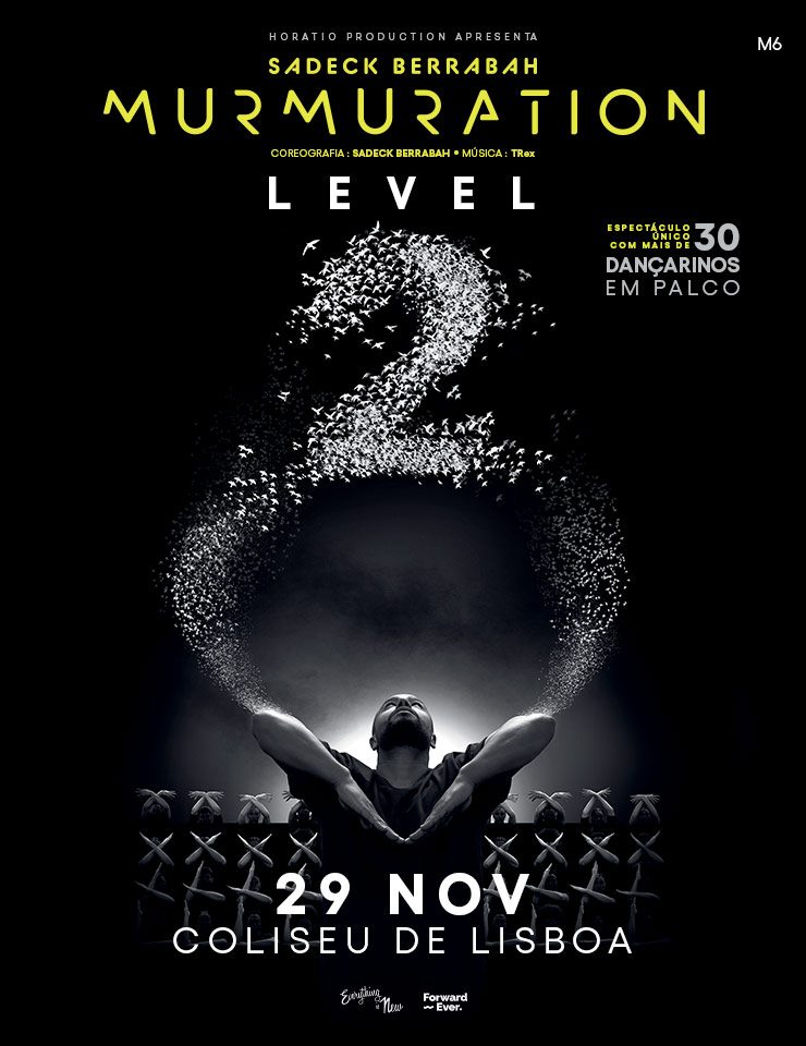 Imagem da fonte — MURMURATION | LEVEL 2