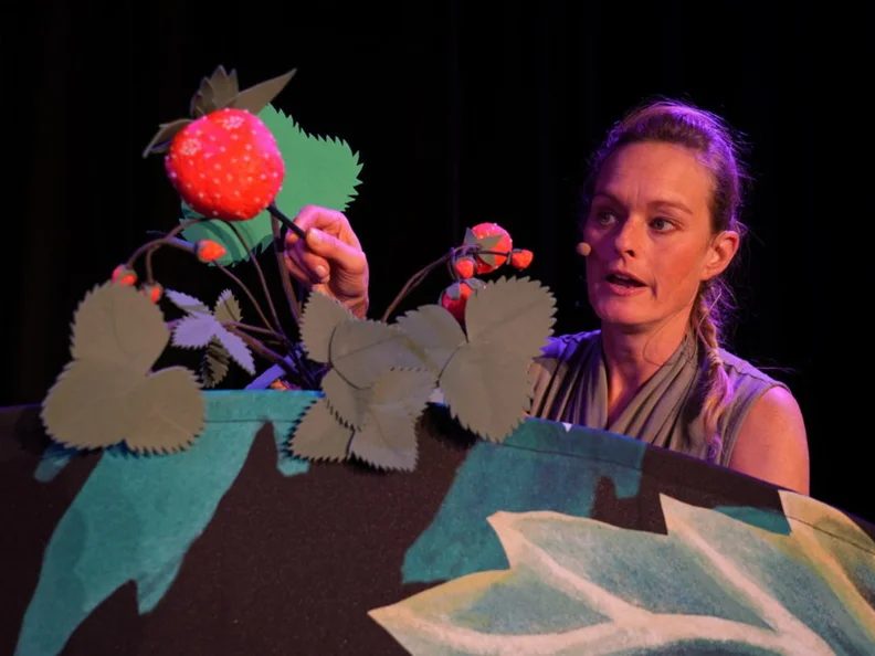 Source image — Children’s play ‘Malwina and the Strawberry Mushroom’