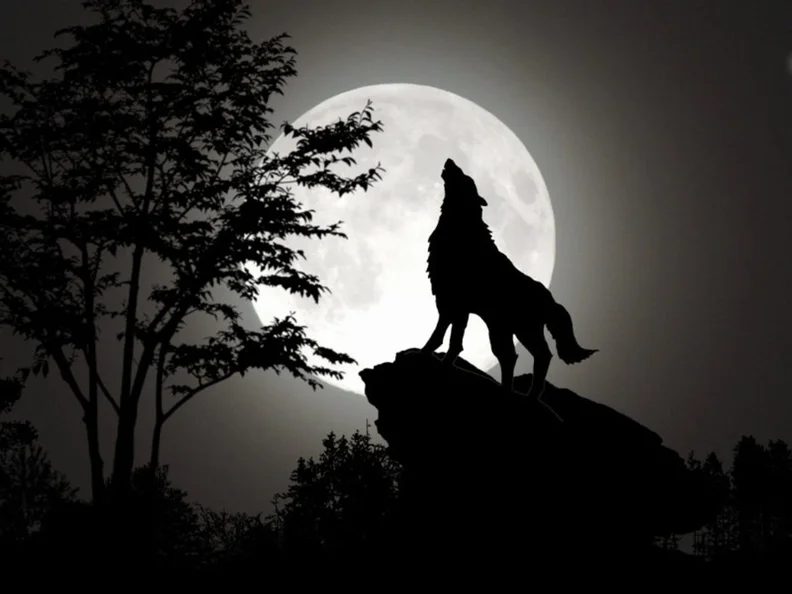 Source image — DIY Hands-On Wednesday: Werewolves of Düsterwald
