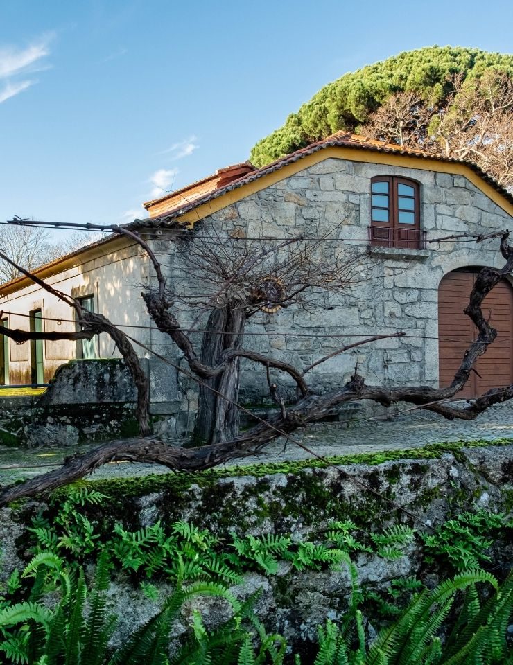 出典の画像 — Zona Rural