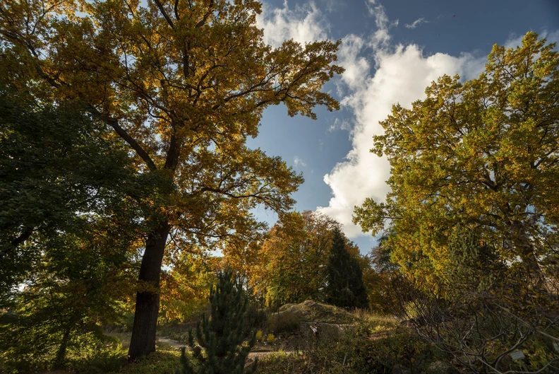 Bild der Quelle — Take a Breath, Breathe Deeply, Slow Down—Mindfulness in Nature for Older Adults and People with Limited Mobility