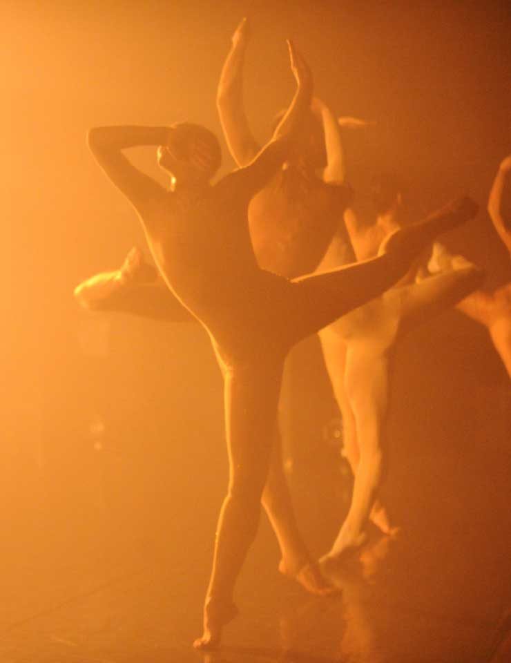 Immagine della fonte — HOUSE | SAGRAÇÃO DA PRIMAVERA | BALLET DE LYON
