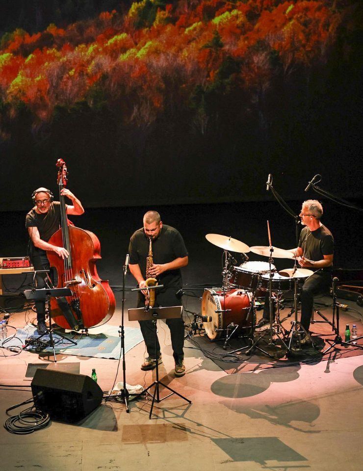 Imagem da fonte — Novembro Jazz "26 . Mário Barreiros, Na Pele da Terra