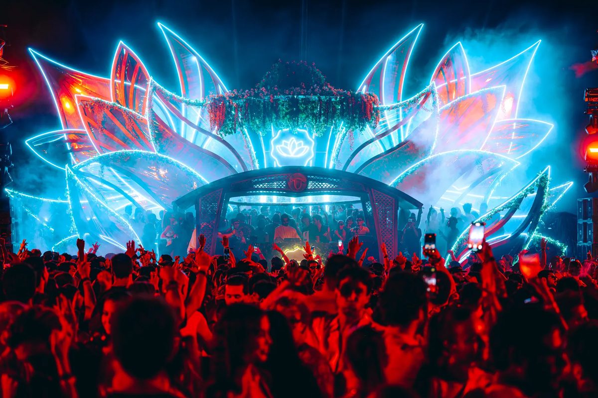 Imagen de la fuente — Flora · Night Celebration