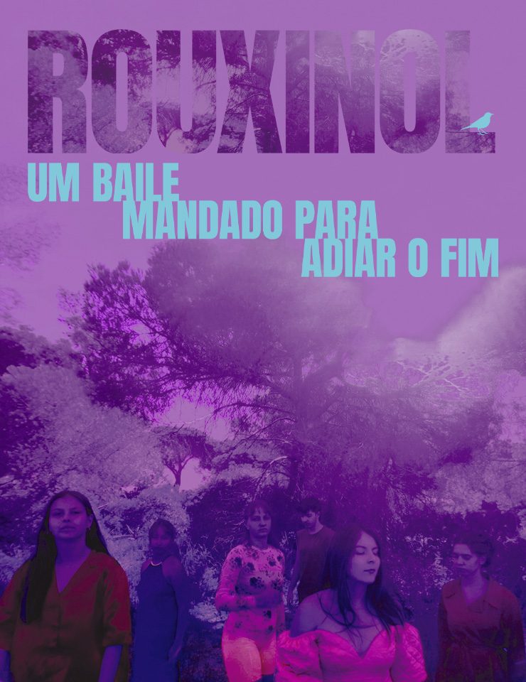 Imagem da fonte — ROUXINOL, um baile mandado para adiar o fim
