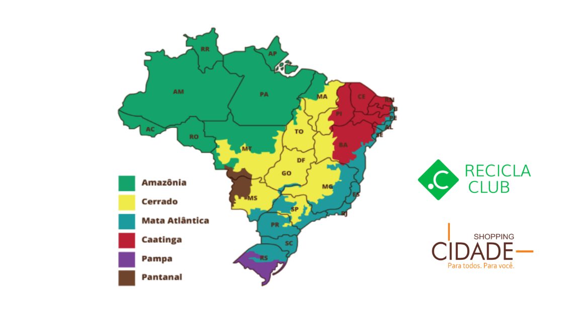 Imagem da fonte — Oficina de Pintura Natural - Dia das Crianças/ PISO GG