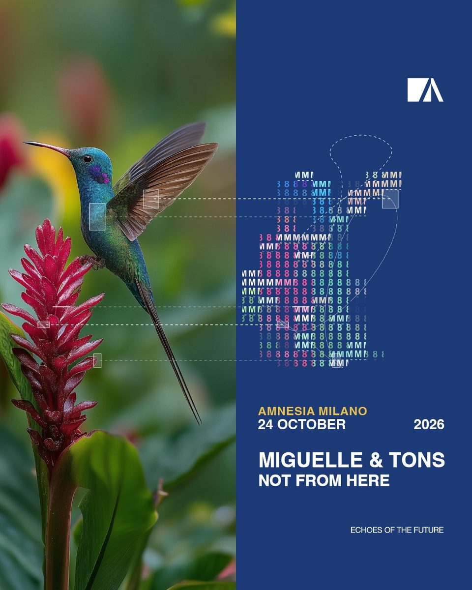 Source image — Miguelle & Tons + Not From Here