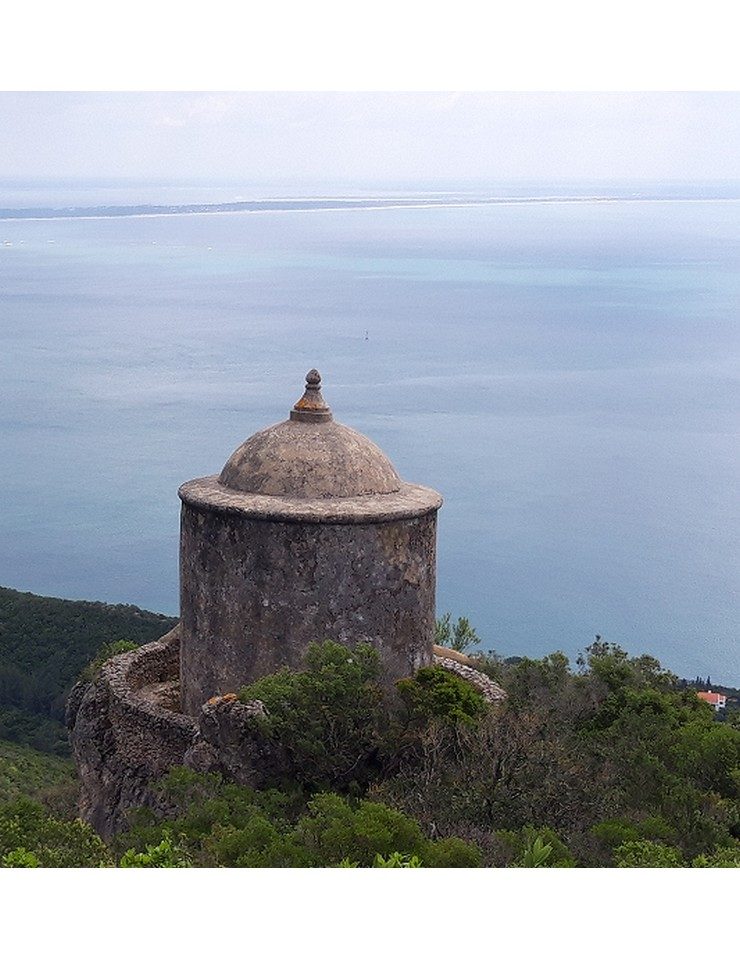 Imagem da fonte — Visita Guiada - Convento da Arrábida (Velho)