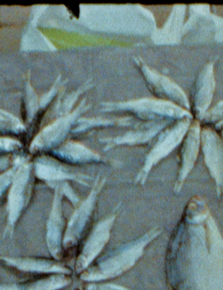 Source image — Doclisboa2026 - Terra à Lua | Apocaly..+Tomor..+ASong..