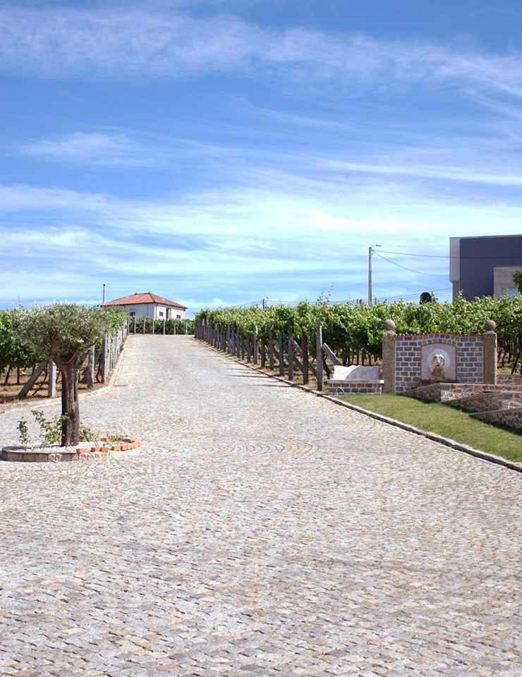 Imagem da fonte — VISITA À ADEGA "VINHOS CASTRO"