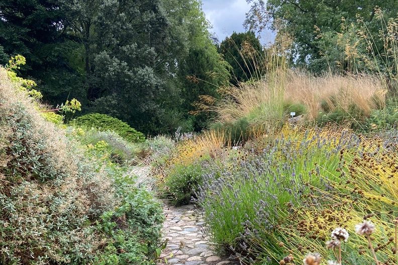 출처 이미지 — Breathe a Sigh of Relief, Take a Deep Breath, Slow Down—Mindfulness in Nature for Adults