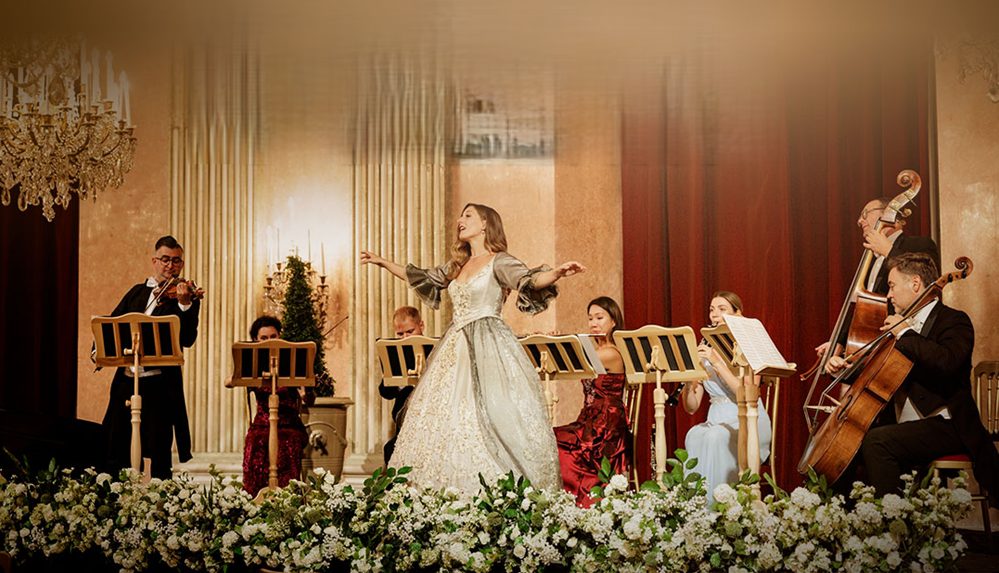 Image de la source — Vienna Mozart Orchestra