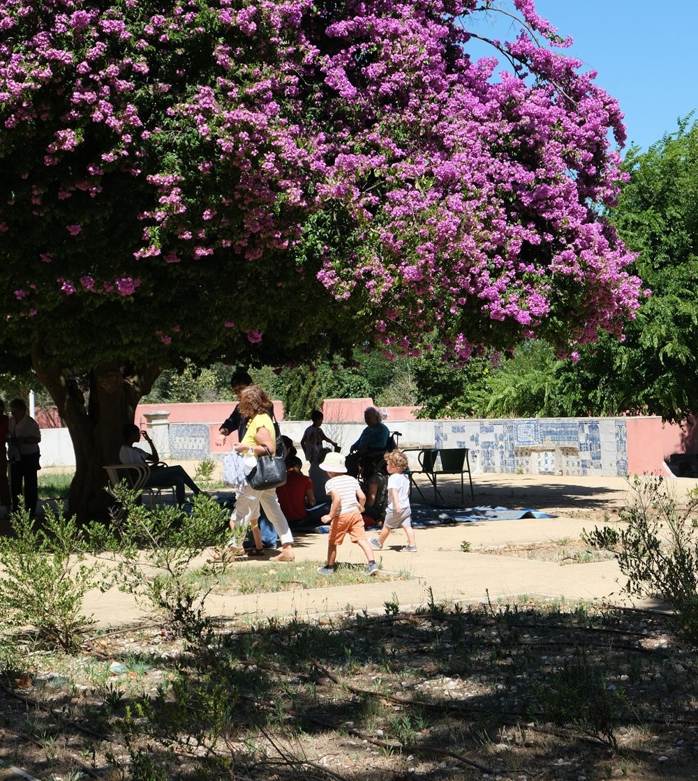 Image de la source — O Domingo é na Quinta