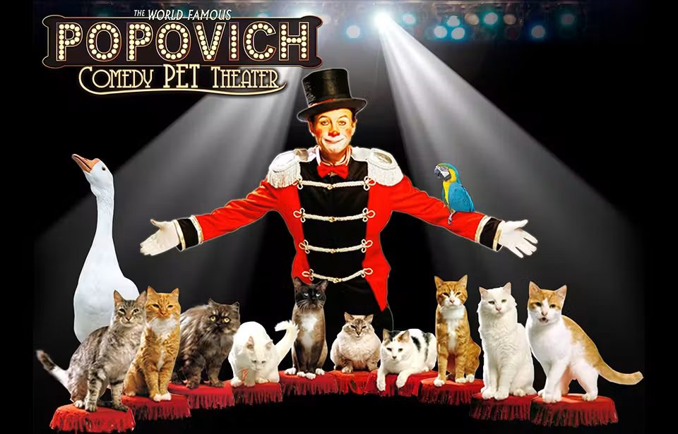 Bild der Quelle — Popovich Comedy Pet Theater