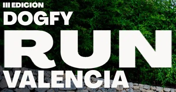 Source image — Dogfy Run Valencia