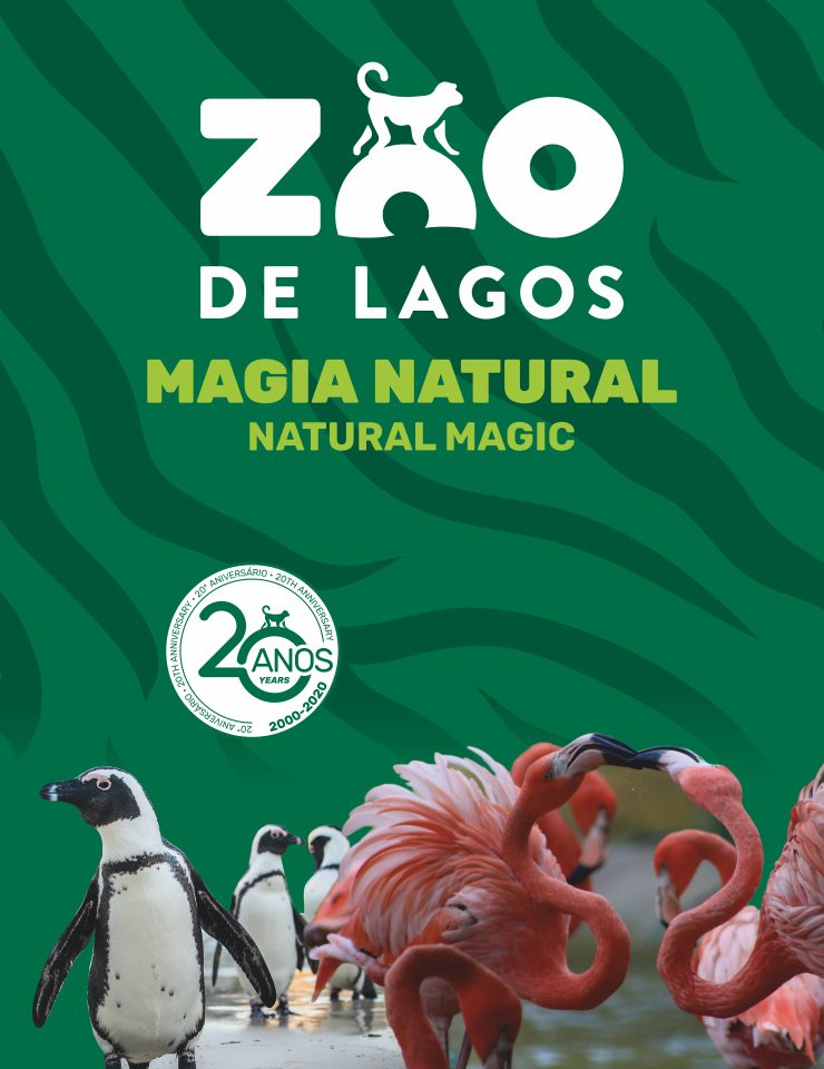 Source image — Visita o Zoo de Lagos | 2026