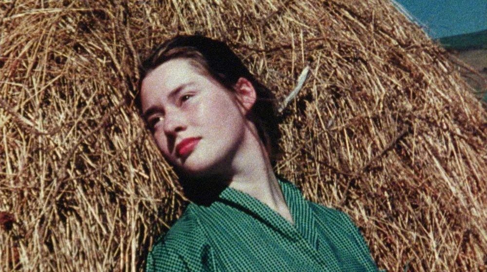 来源图片 — O cinema de Margaret Tait em diálogo