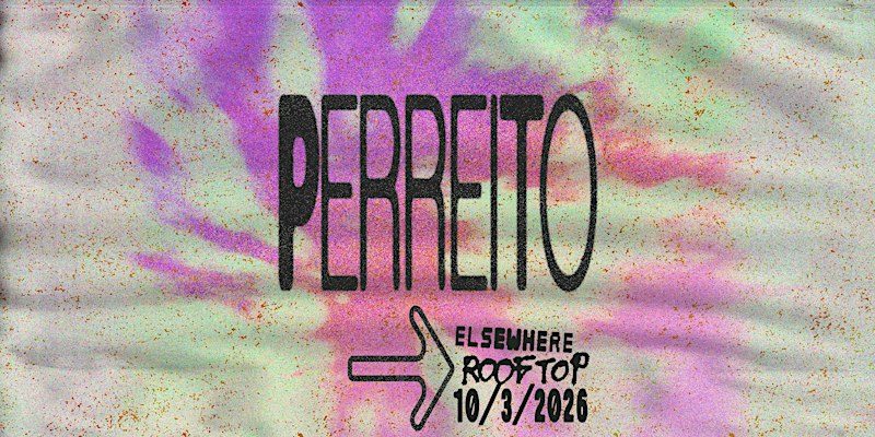 Source image — Perreito