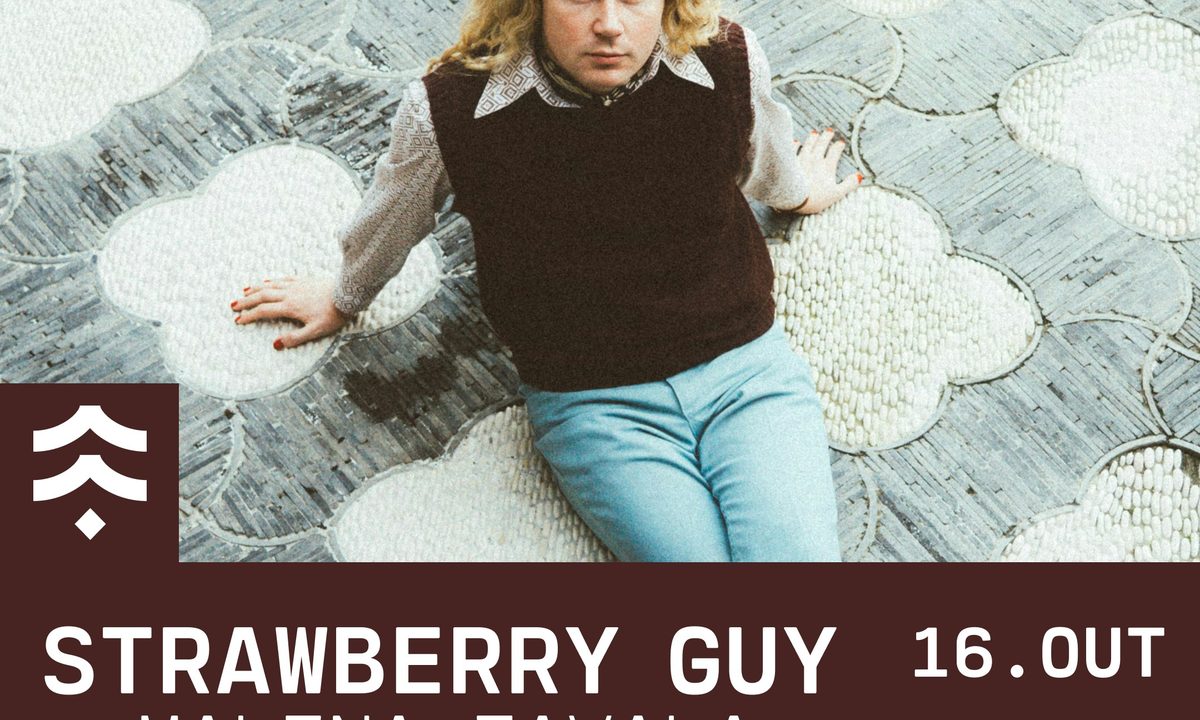 Imagem da fonte — Strawberry Guy (1ª Parte Malena Zavala)