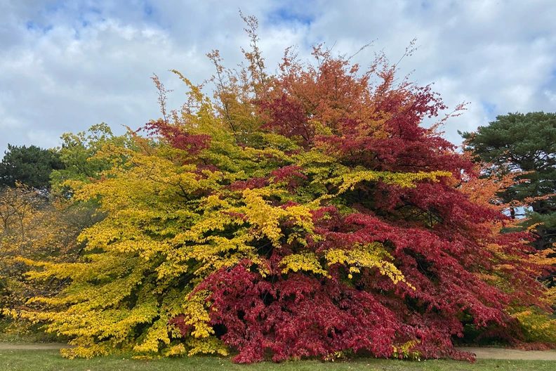 Immagine della fonte — Let Out a Sigh of Relief, Take a Deep Breath, Slow Down—Mindfulness in Nature for a Team