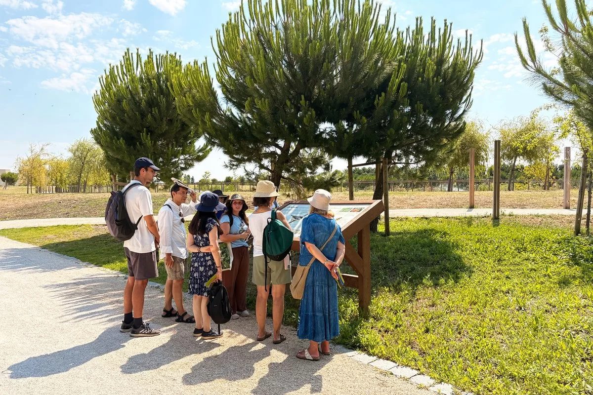 Imagen de la fuente — À Descoberta do Parque Verde de Carnide
