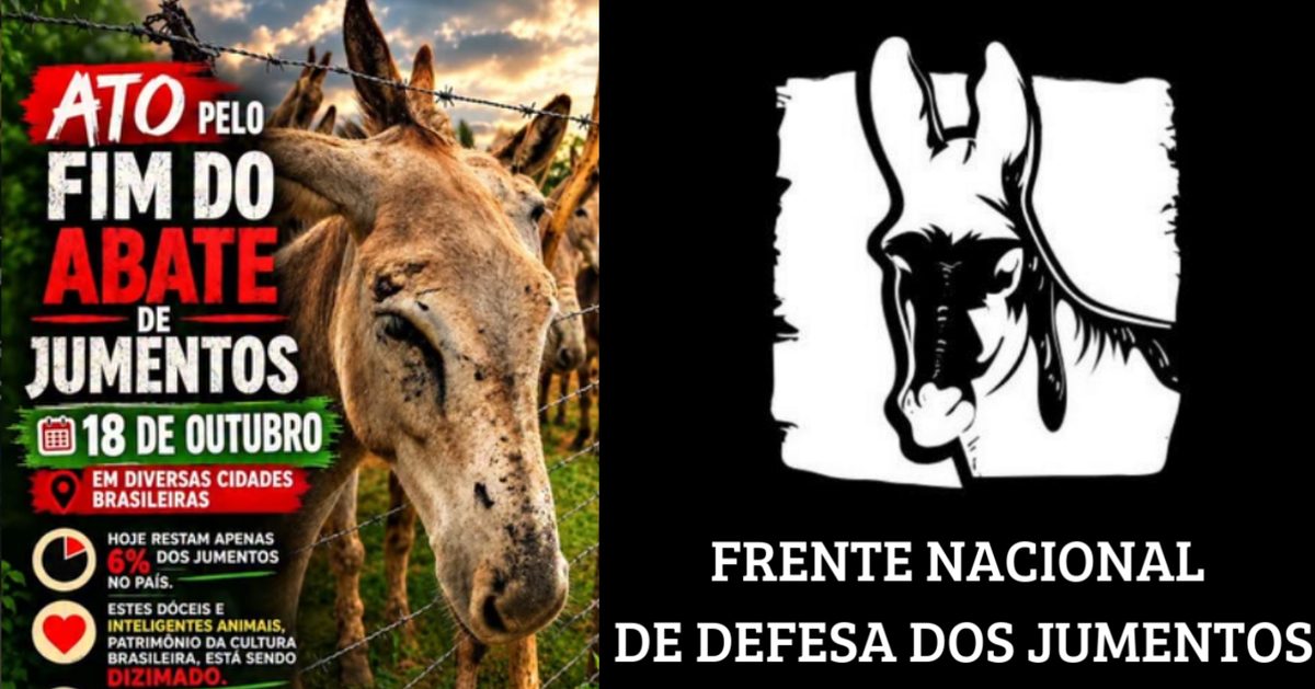 출처 이미지 — Manifestação pelo fim do abate de jumentos