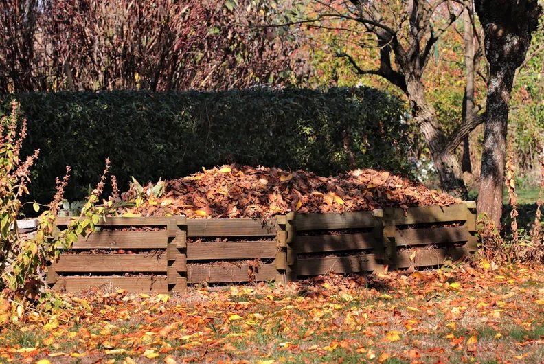 Image de la source — Workshop: Compost & More—Natural, Sustainable, and Full of Life