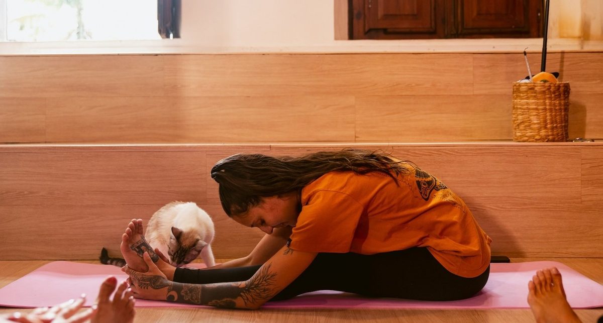 출처 이미지 — Catyoga no Gato Café Barra Downtown (Cópia)
