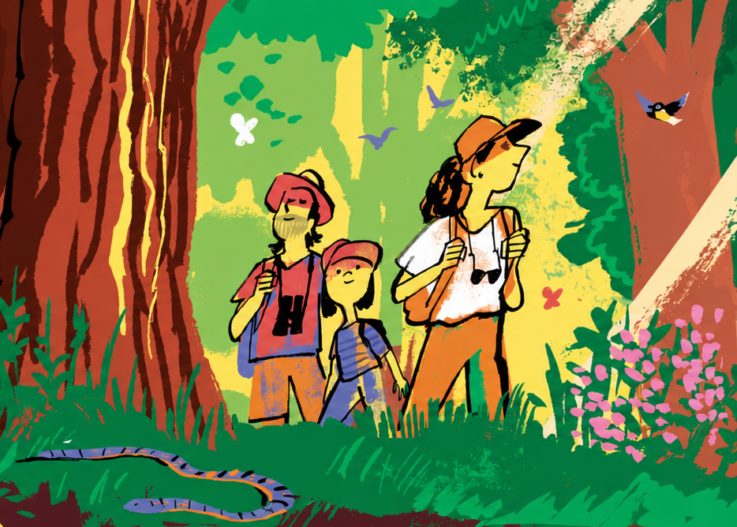 Bild der Quelle — FLORESTA: Uma Experiência de Raiz