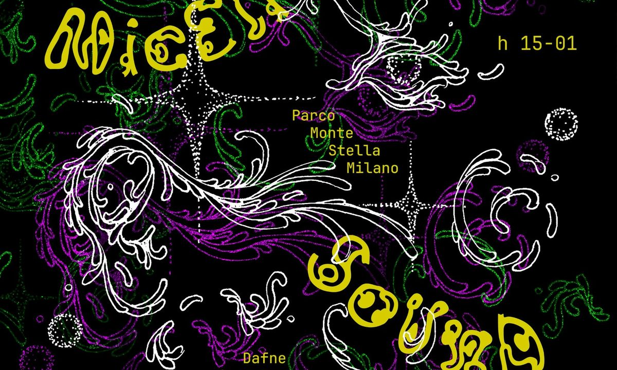 Imagem da fonte — Micelio Sound | Montagnetta Open Air