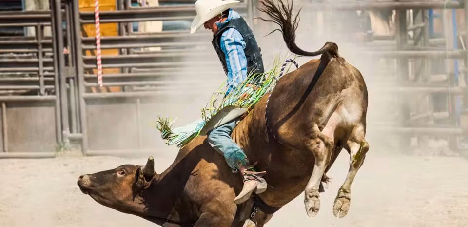 Imagen de la fuente — National Finals Rodeo (NFR)