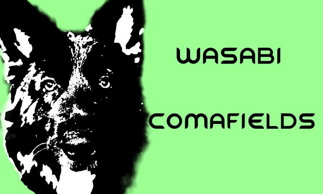 Imagem da fonte — Neighbour Club, Wasabi, Comafields