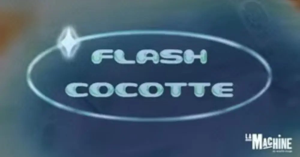 출처 이미지 — Flash Cocotte