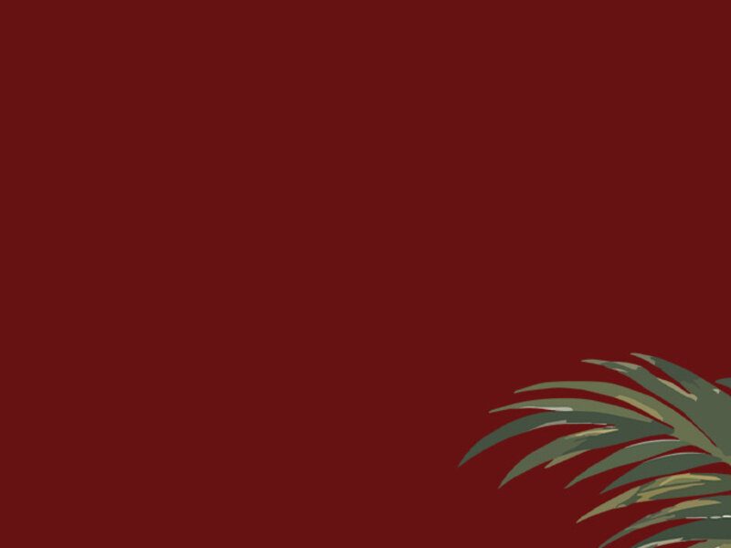 Source image — Naïka