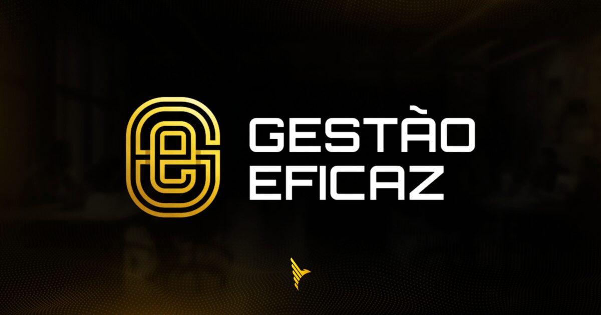 Imagem da fonte — GESTÃO EFICAZ 11/11