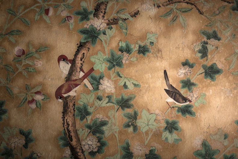 Imagem da fonte — Flowers, Birds, and Rosettes: Preserved and Restored Wall Decorations in the Castle