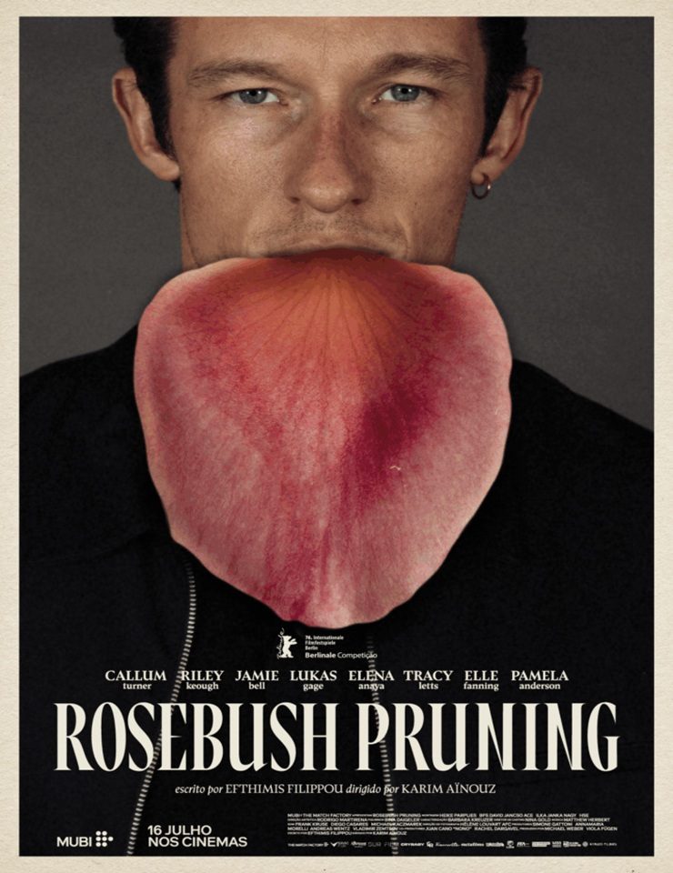 Bild der Quelle — ROSEBUSH PRUNING