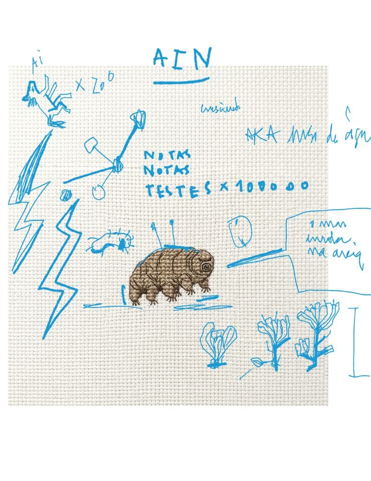 Imagem da fonte — A invenção da Natureza, de Gira Sol Azul