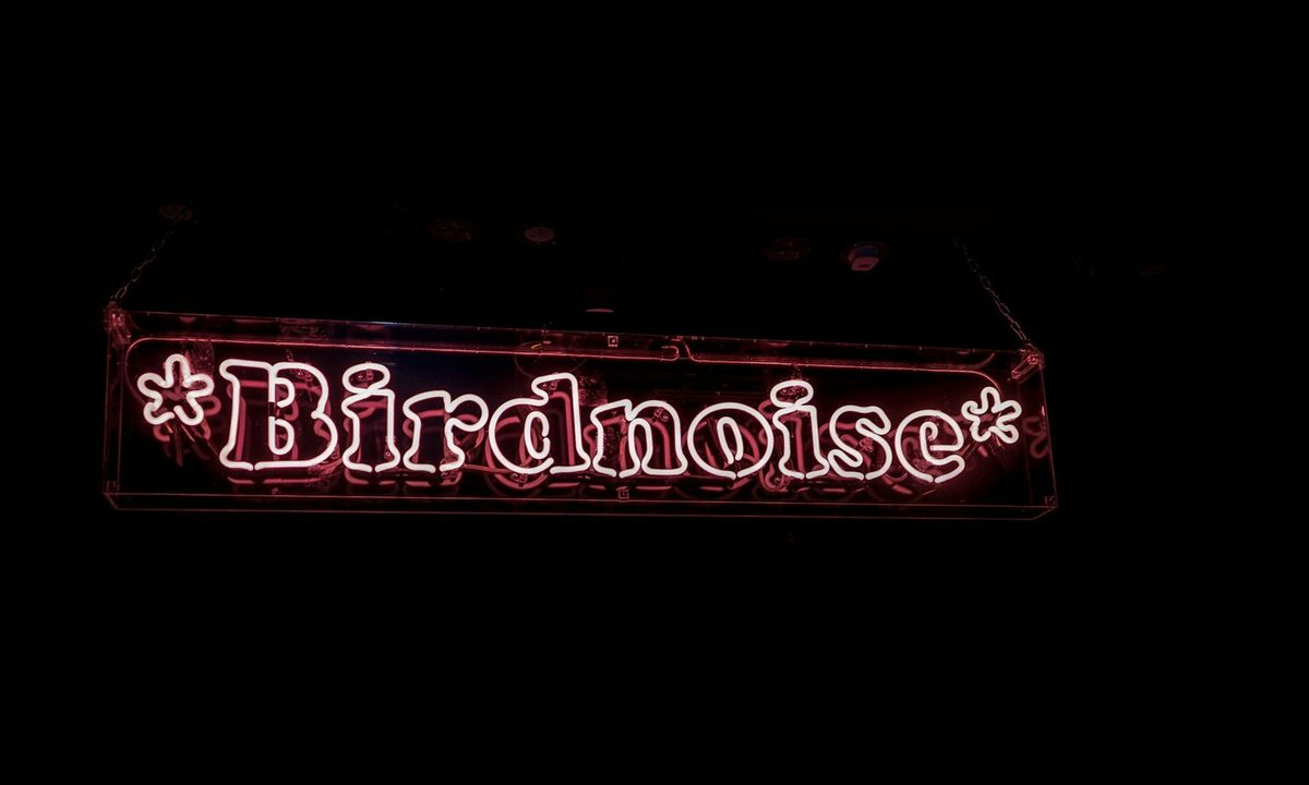 Source image — *Birdnoise*: R&B Edition