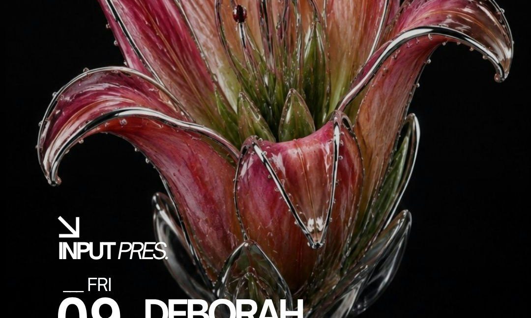Image de la source — INPUT pres DEBORAH DE LUCA