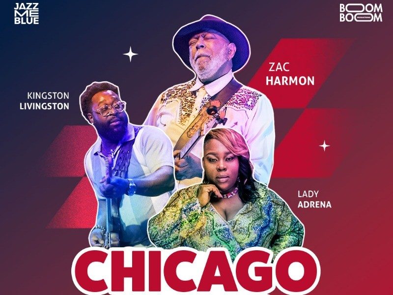 Image de la source — Chicago Blues Festival