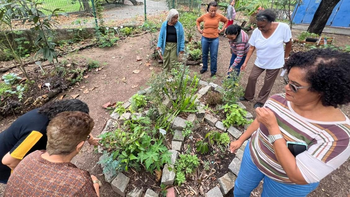 来源图片 — Agroflorestinha - Práticas de Agroecologia Urbana 17/10