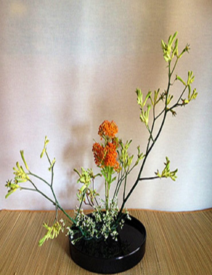 来源图片 — IKEBANA COM KENZAN