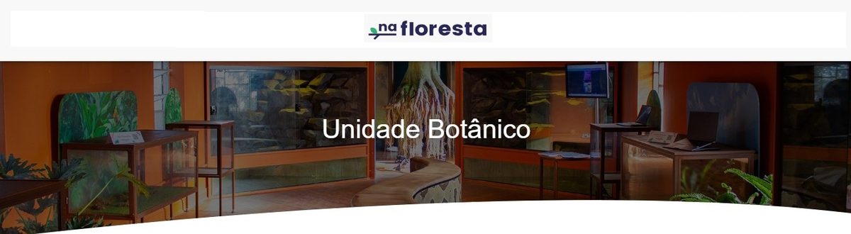 Bild der Quelle — NA FLORESTA - BOTÂNICO - 12 DEZEMBRO - SÁBADO