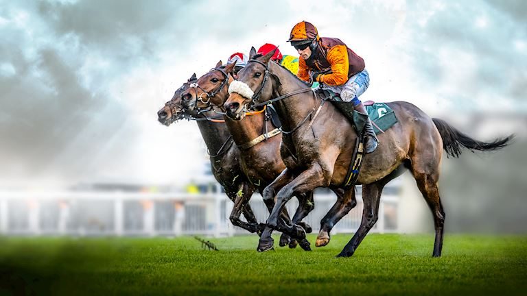 Bild der Quelle — William Hill Afternoon Raceday