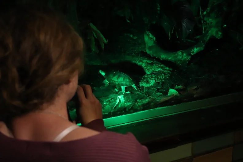 Imagen de la fuente — Jungle Evening at Berlin Zoo