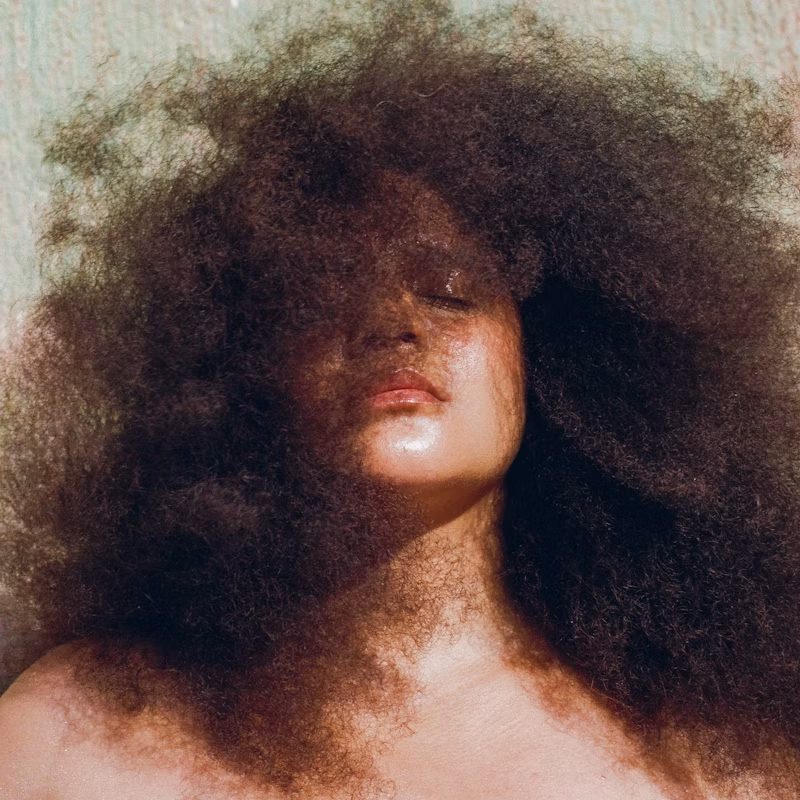 Source image — Lido Pimienta + AMORE + Ms Ray