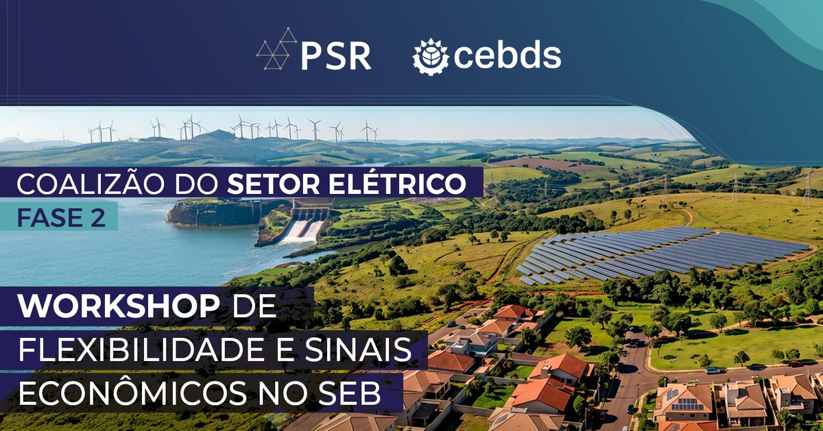来源图片 — Workshop Temático de Flexibilidade e Sinais Econômicos no SEB Coalizão do Setor Elétrico